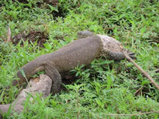 Hoedspruit Tours and Transfers to the Kruger National Park