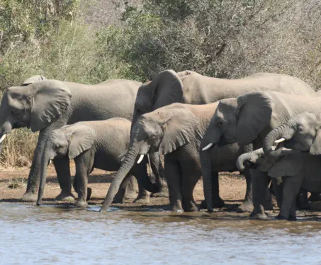 3 day Kruger National Park Tour package
