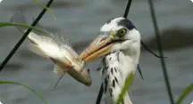 Taken at Lower Sabie Kruger National Park