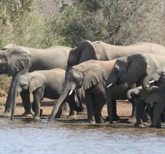 3 day Kruger National Park Tour package