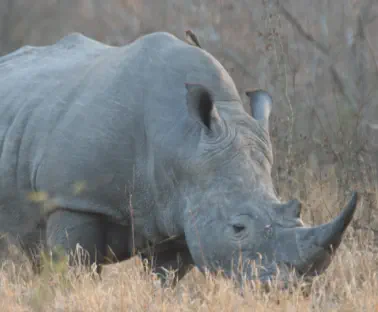 Kruger National Park and Blyde River Canyon Travel Packages