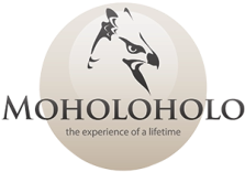 Moholoholo Rehab Centre Hoedspruit